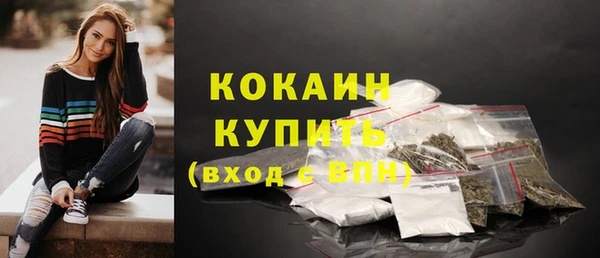 индика Армянск