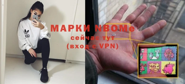 индика Армянск
