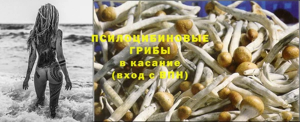 2c-b Аркадак