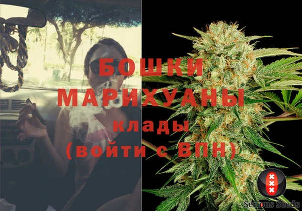 индика Армянск
