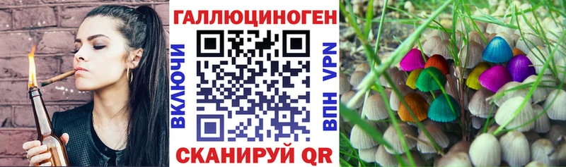 Псилоцибиновые грибы Psilocybe Северобайкальск
